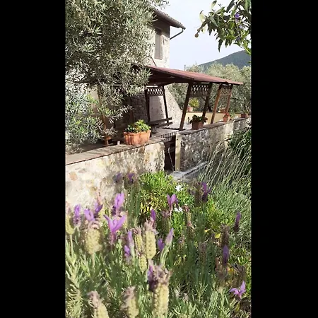 Beautiful Stone Mansion On The Hills *